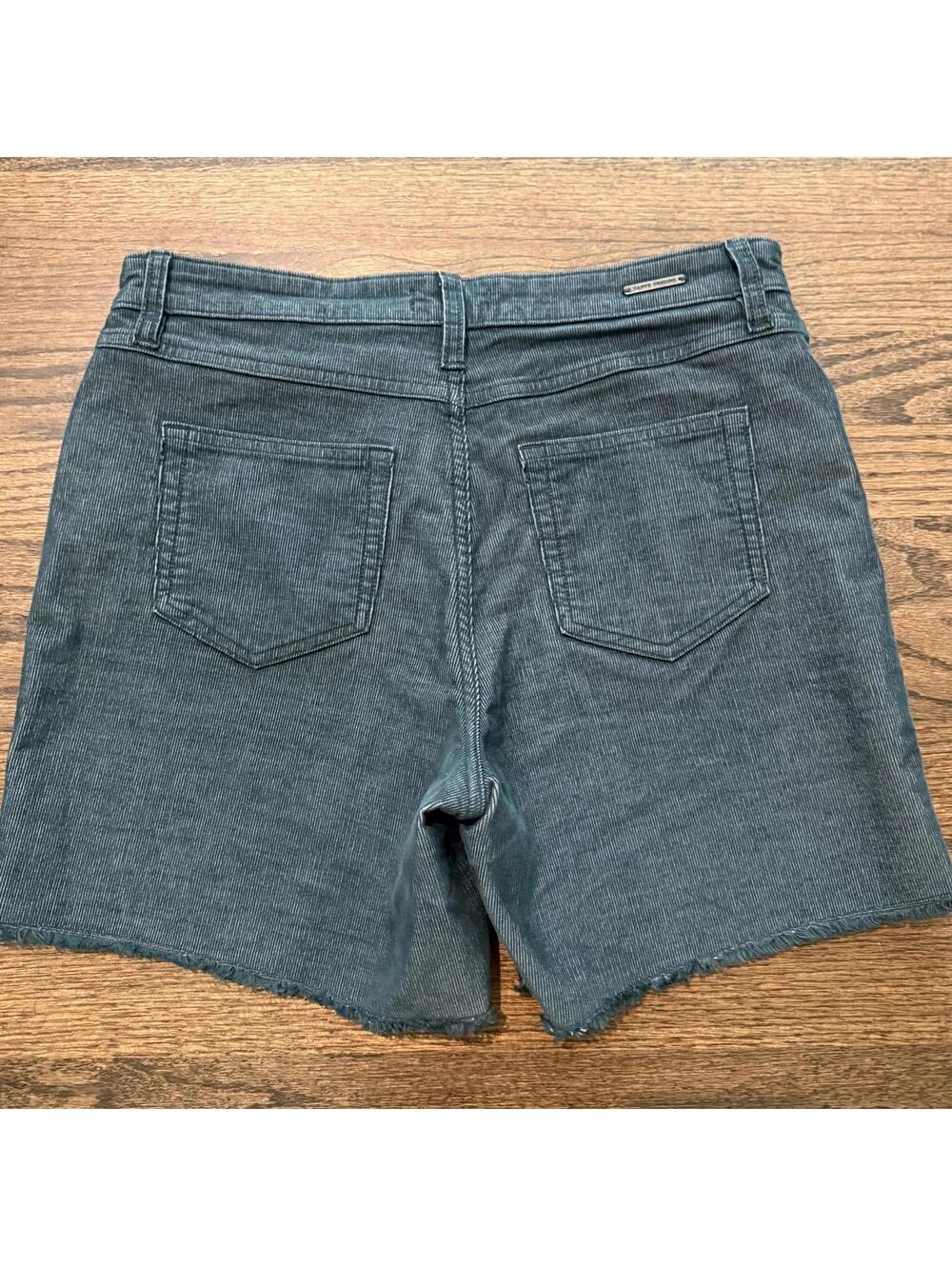 New Carve Designs 6” Oahu Blue Teal Corduroy Shorts Size 6 - Picture 2 of 7